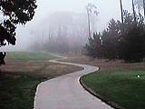 [Path in Fog]