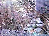 [Rays on the Path]