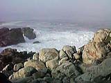 [Surf Rocks]
