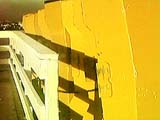 [Yellow Boats]